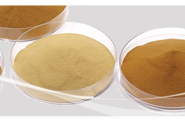 高品質酵母萃取物<br><span>Yeast Extract</span>