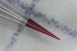 陽性標準品<br><span>CCIT</span>